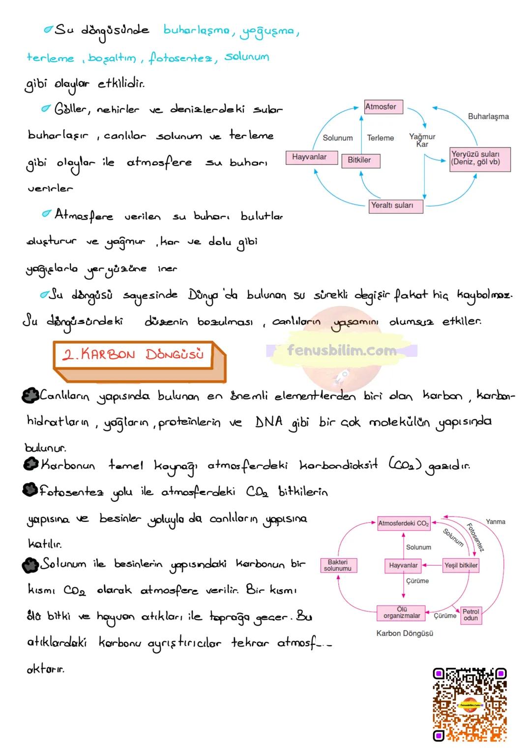 # BESİN ZİNCİRİ VE ENERJİ AKIŞI
BESİN ZİNCİRİ
fenusbilim.com
Canlıların yaşamsal faaliyetlerini devam ettirebilmeleri için enerji ihtiyaç