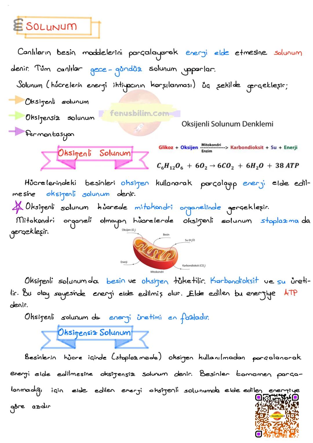 # BESİN ZİNCİRİ VE ENERJİ AKIŞI
BESİN ZİNCİRİ
fenusbilim.com
Canlıların yaşamsal faaliyetlerini devam ettirebilmeleri için enerji ihtiyaç