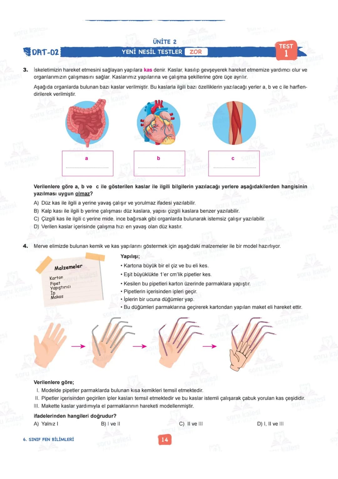 # 6
SINIF
# FEN BİLİMLERİ
## ÜNİTE 2: VÜCUDUMUZDAKİ SİSTEMLER
# KAZANIMLAR:
- F.6.2.1.1. Destek ve hareket sistemine ait yapıları örneklerl