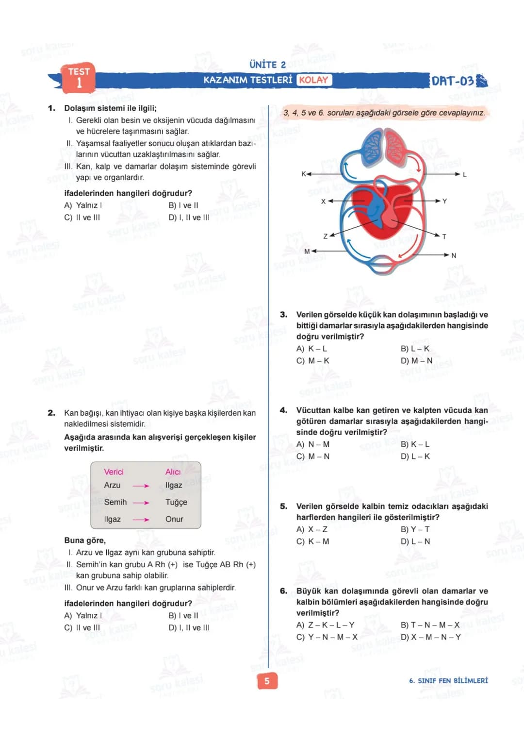# 6
SINIF
# FEN BİLİMLERİ
## ÜNİTE 2: VÜCUDUMUZDAKİ SİSTEMLER
# KAZANIMLAR:
- F.6.2.1.1. Destek ve hareket sistemine ait yapıları örneklerl
