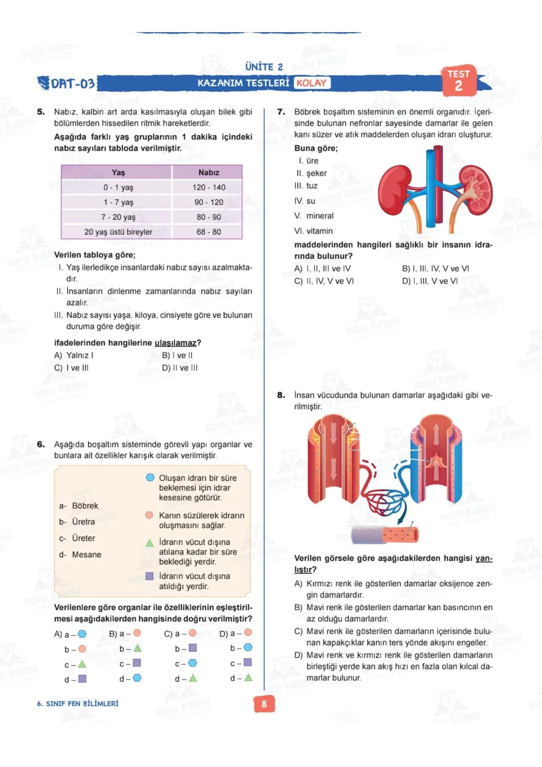 # 6
SINIF
# FEN BİLİMLERİ
## ÜNİTE 2: VÜCUDUMUZDAKİ SİSTEMLER
# KAZANIMLAR:
- F.6.2.1.1. Destek ve hareket sistemine ait yapıları örneklerl