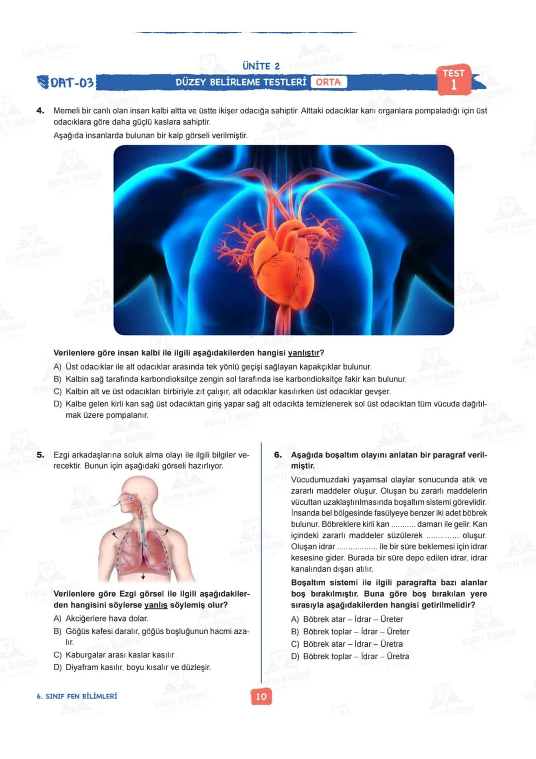 # 6
SINIF
# FEN BİLİMLERİ
## ÜNİTE 2: VÜCUDUMUZDAKİ SİSTEMLER
# KAZANIMLAR:
- F.6.2.1.1. Destek ve hareket sistemine ait yapıları örneklerl