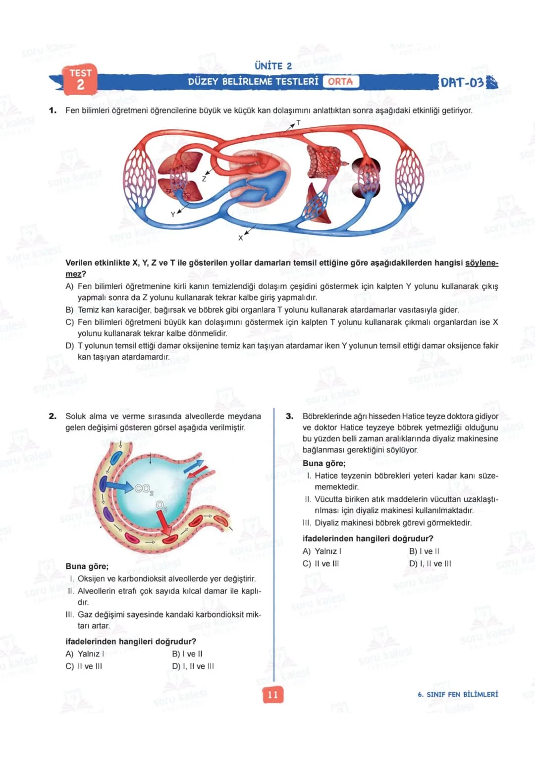 # 6
SINIF
# FEN BİLİMLERİ
## ÜNİTE 2: VÜCUDUMUZDAKİ SİSTEMLER
# KAZANIMLAR:
- F.6.2.1.1. Destek ve hareket sistemine ait yapıları örneklerl
