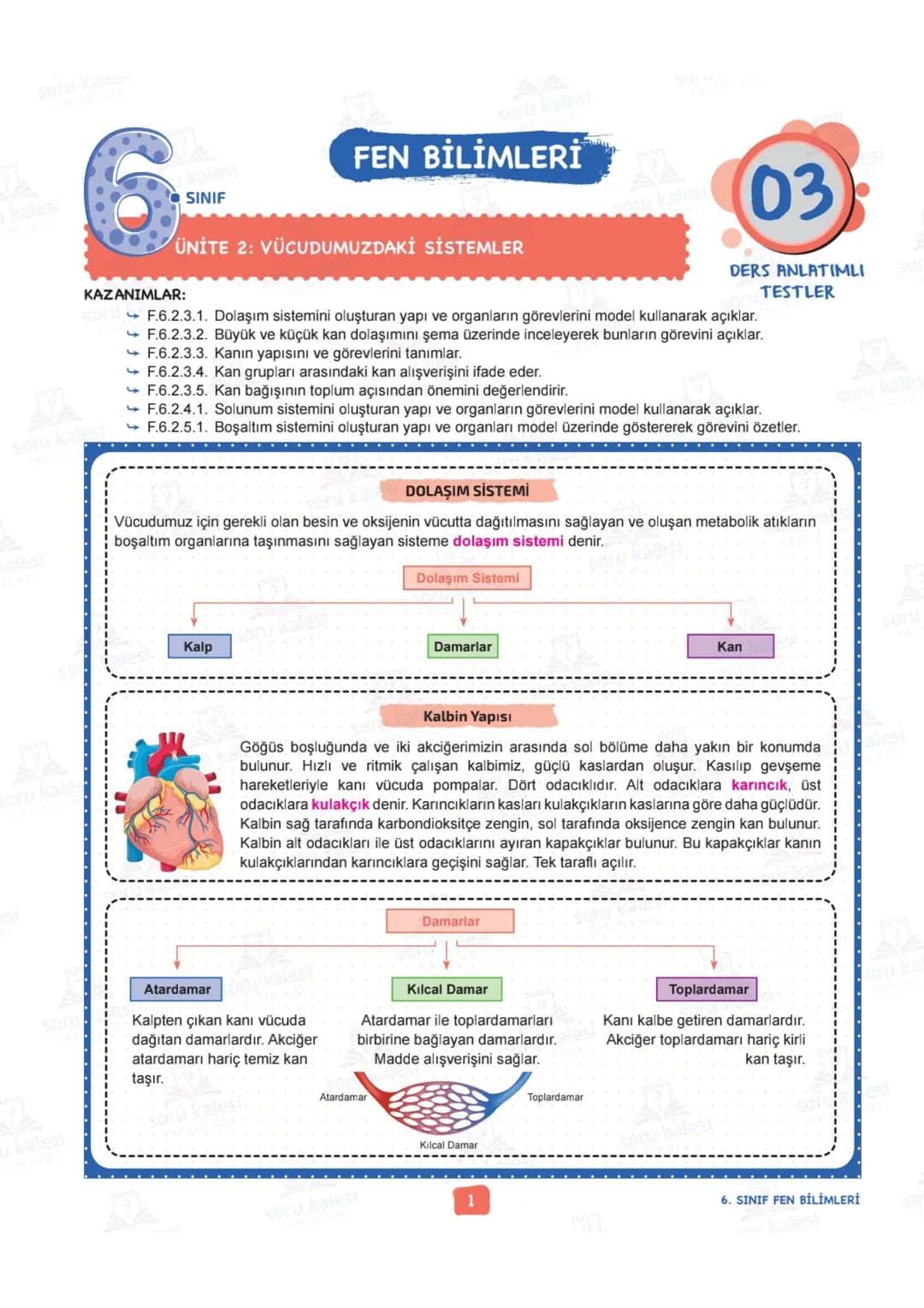 # 6
SINIF
# FEN BİLİMLERİ
## ÜNİTE 2: VÜCUDUMUZDAKİ SİSTEMLER
# KAZANIMLAR:
- F.6.2.1.1. Destek ve hareket sistemine ait yapıları örneklerl