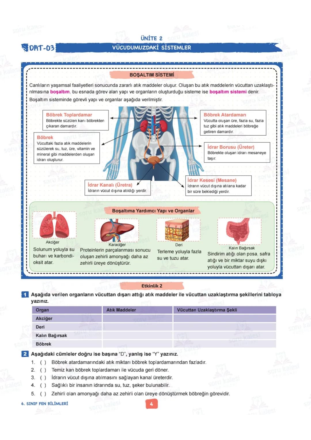 # 6
SINIF
# FEN BİLİMLERİ
## ÜNİTE 2: VÜCUDUMUZDAKİ SİSTEMLER
# KAZANIMLAR:
- F.6.2.1.1. Destek ve hareket sistemine ait yapıları örneklerl