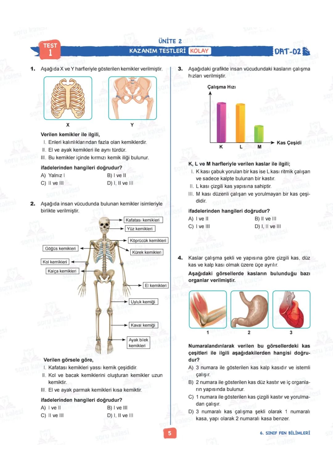 # 6
SINIF
# FEN BİLİMLERİ
## ÜNİTE 2: VÜCUDUMUZDAKİ SİSTEMLER
# KAZANIMLAR:
- F.6.2.1.1. Destek ve hareket sistemine ait yapıları örneklerl