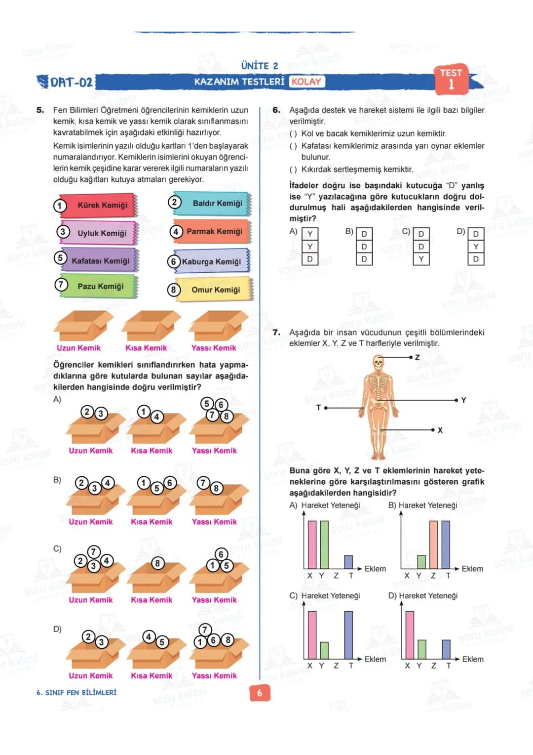 # 6
SINIF
# FEN BİLİMLERİ
## ÜNİTE 2: VÜCUDUMUZDAKİ SİSTEMLER
# KAZANIMLAR:
- F.6.2.1.1. Destek ve hareket sistemine ait yapıları örneklerl