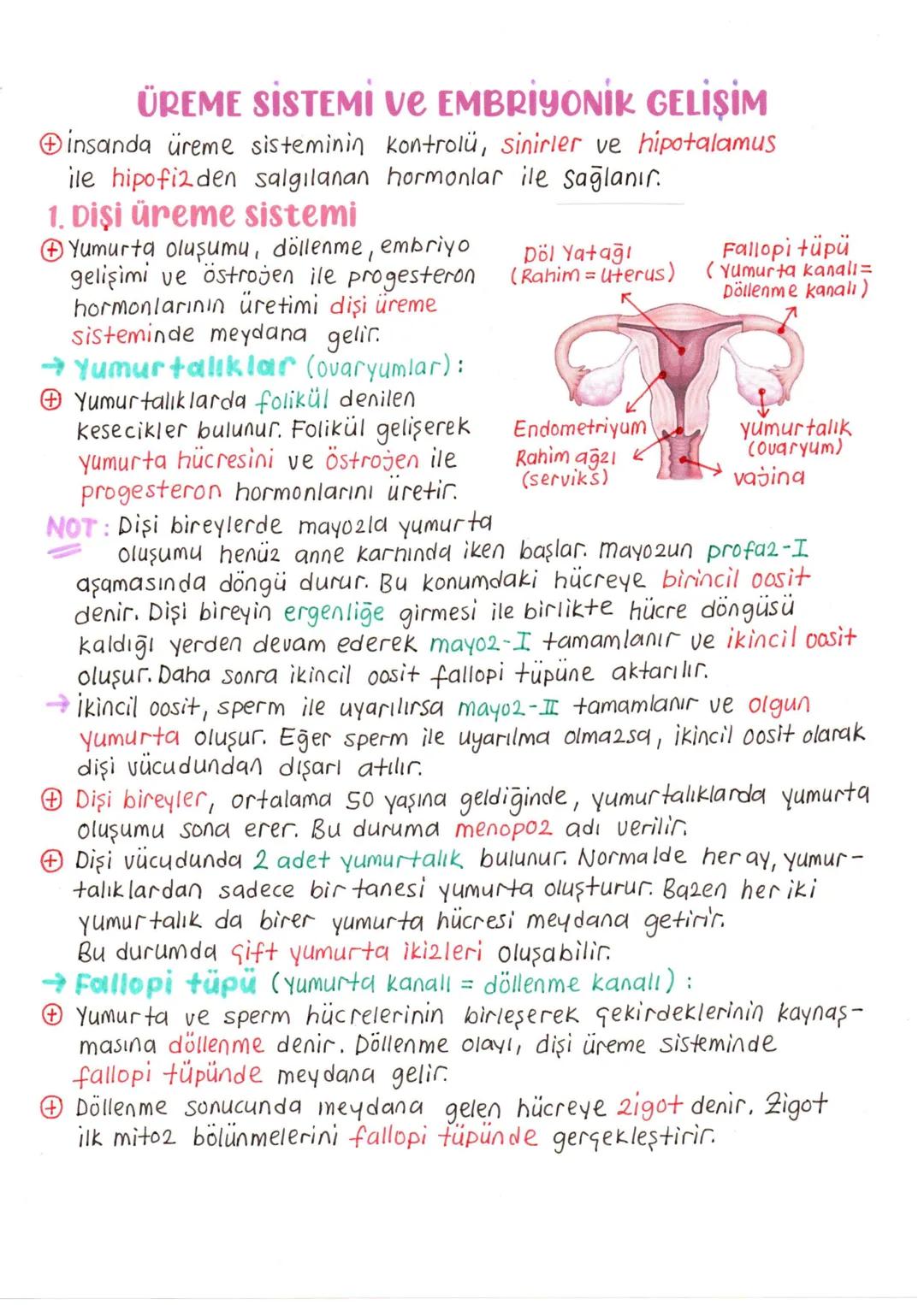 # ÜREME SİSTEMİ VE EMBRİYONİK GELİŞİM
+ İnsanda üreme sisteminin kontrolü, sinirler ve hipotalamus ile hipofiz2den salgılanan hormonlar ile