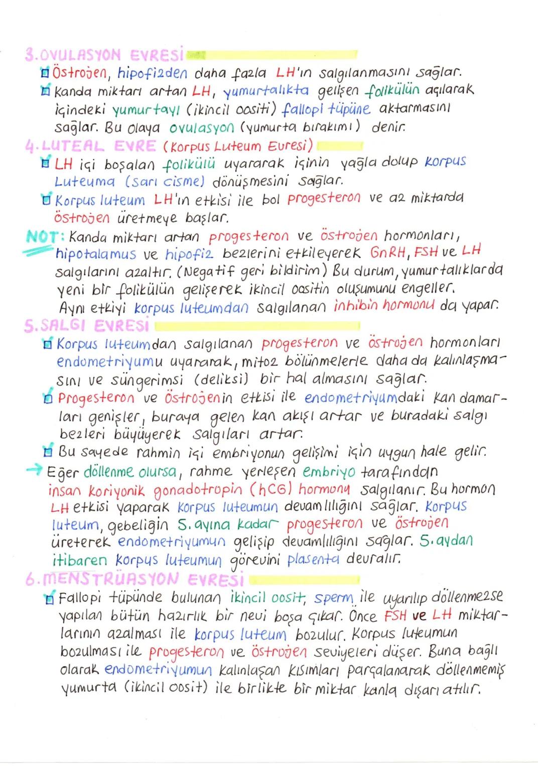 # ÜREME SİSTEMİ VE EMBRİYONİK GELİŞİM
+ İnsanda üreme sisteminin kontrolü, sinirler ve hipotalamus ile hipofiz2den salgılanan hormonlar ile