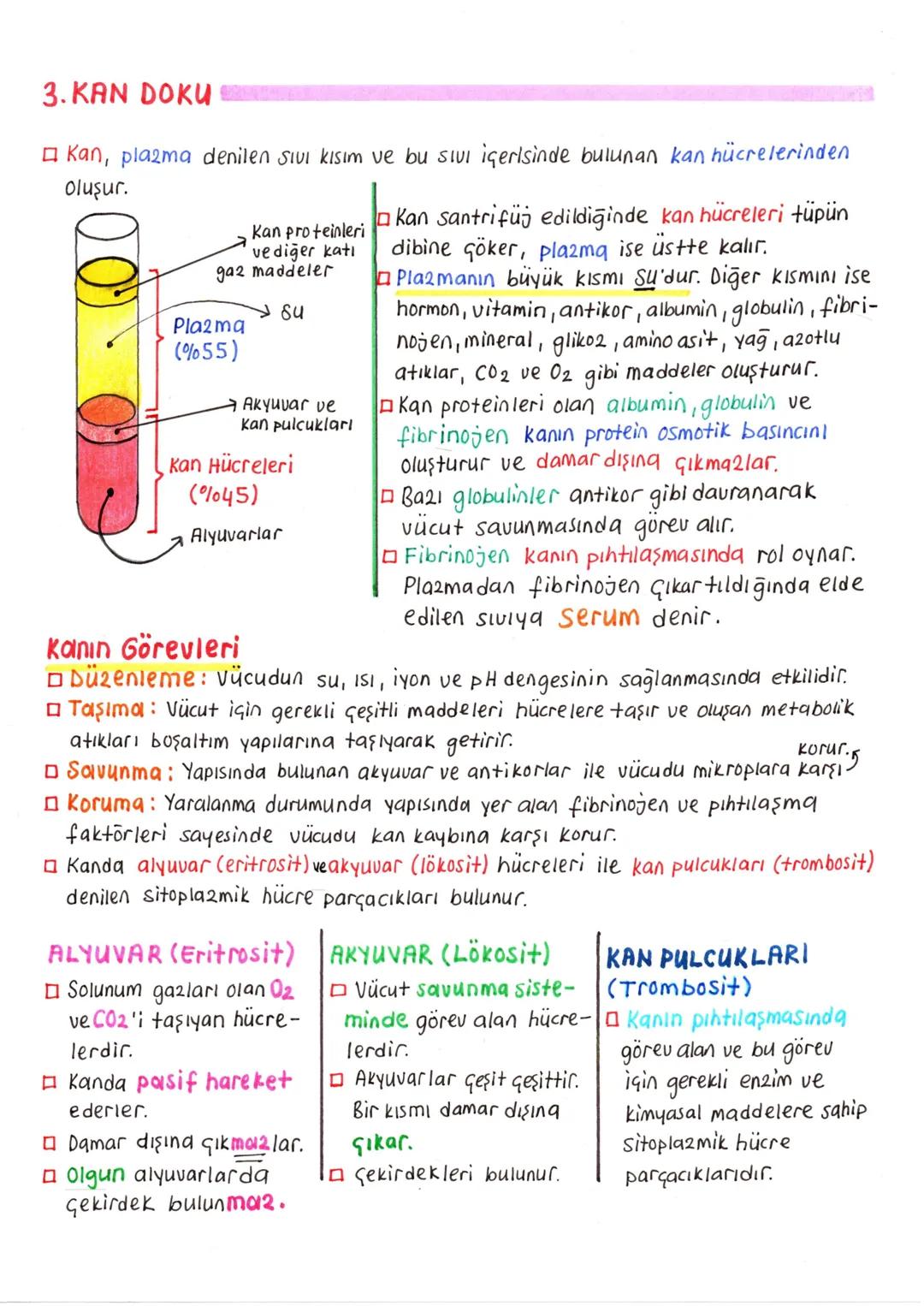 # DOLASIM SISTEMI
- Dolaşım sistemi sayesinde, doku ve organlara gerekli oksijen ve besin taşınırken, ayrıca bu yapılardan atık maddeler de