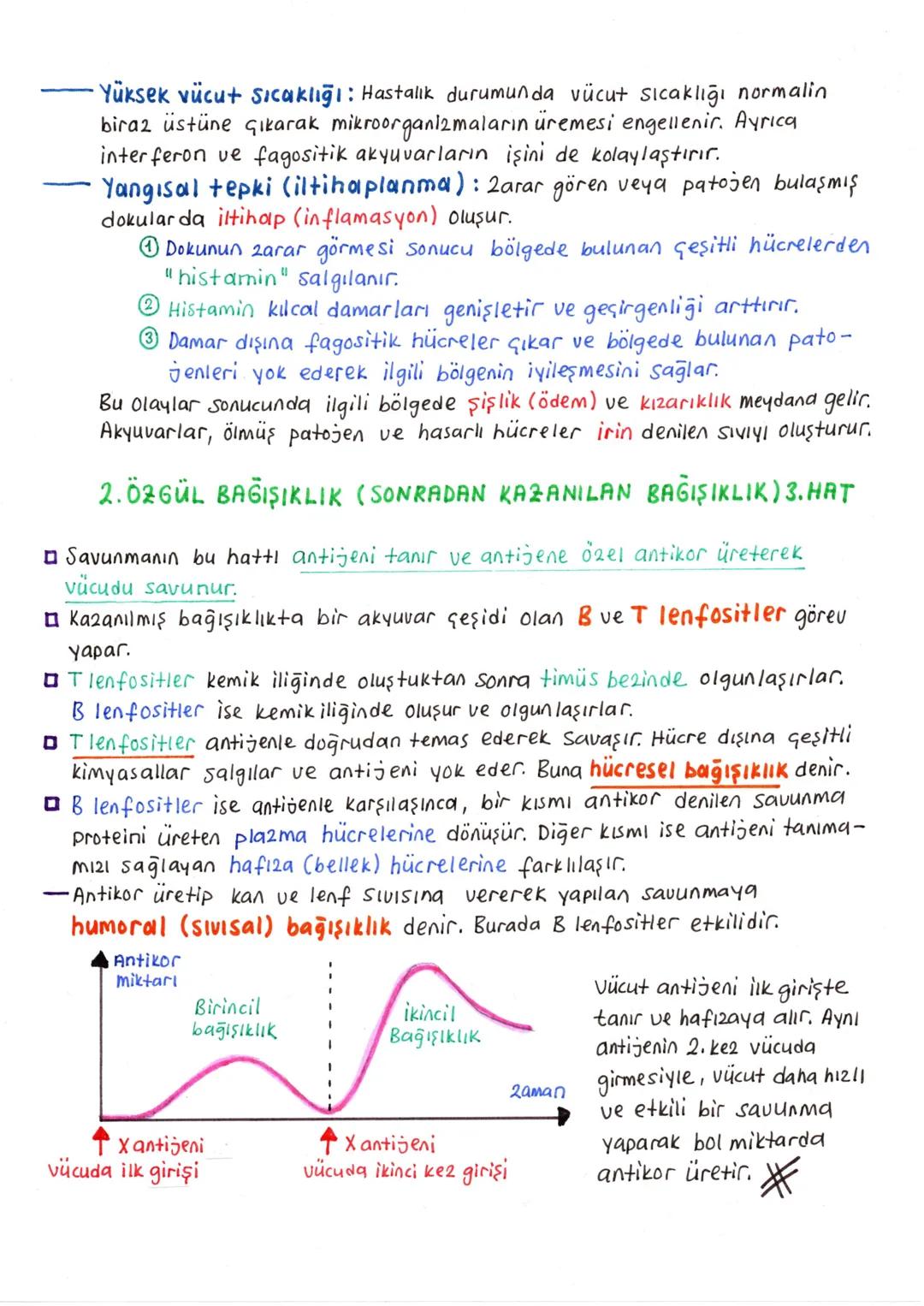## BAĞIŞIKLIK SİSTEMİ
■ Vücudun hastalık yapıcı zararlı organizmalara, kontrolsüzleşen hücrelerine ve kendisine ait olmayan yabancı maddele