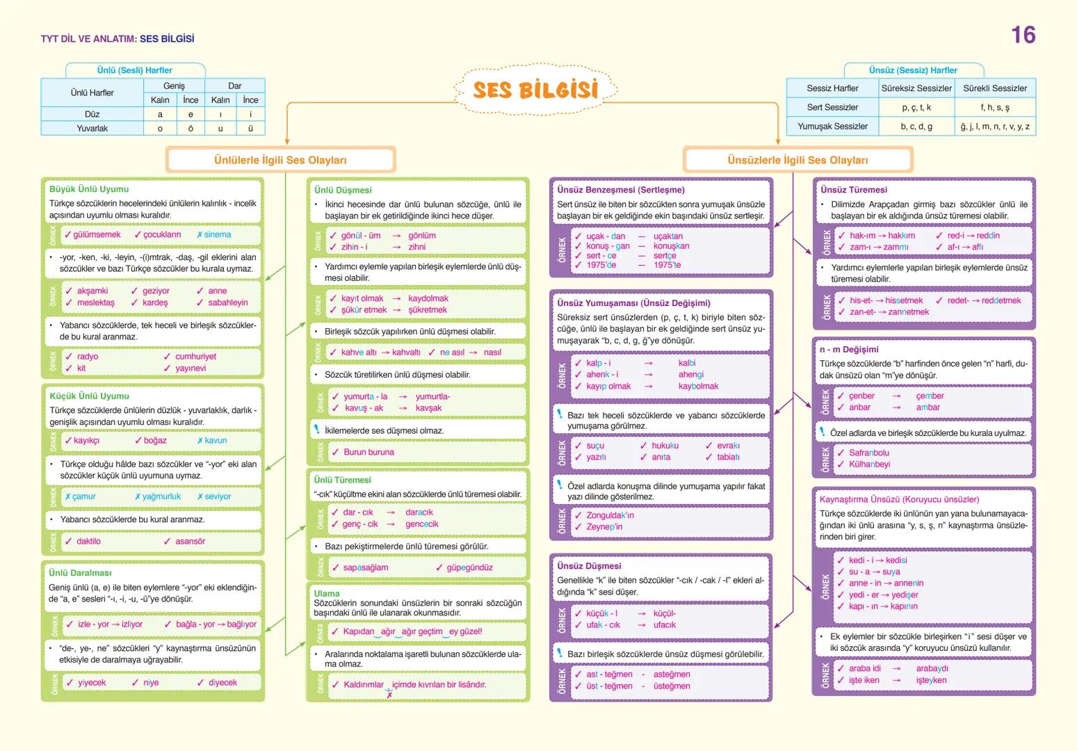 # TYT DİL VE ANLATIM: SÖZCÜKTE ANLAM
01
Gerçek
(İlk - Temel)
Anleam
- Sözcüğün akla ge-
len ilk anlamıdır.
✓ Pencere kenarından
soğuk gel