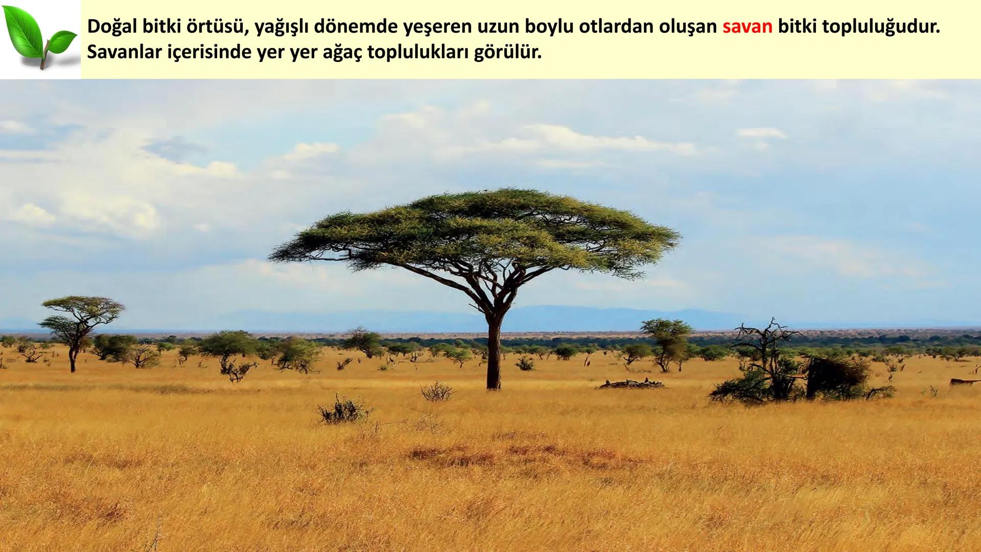 # DÜNYA'DAKI İKLIM TİPLERİ Geniş bir alanda uzun yıllar boyunca görülen atmosfer olaylarının ortalama durumuna
iklim denir.
Dünya'nın hemen