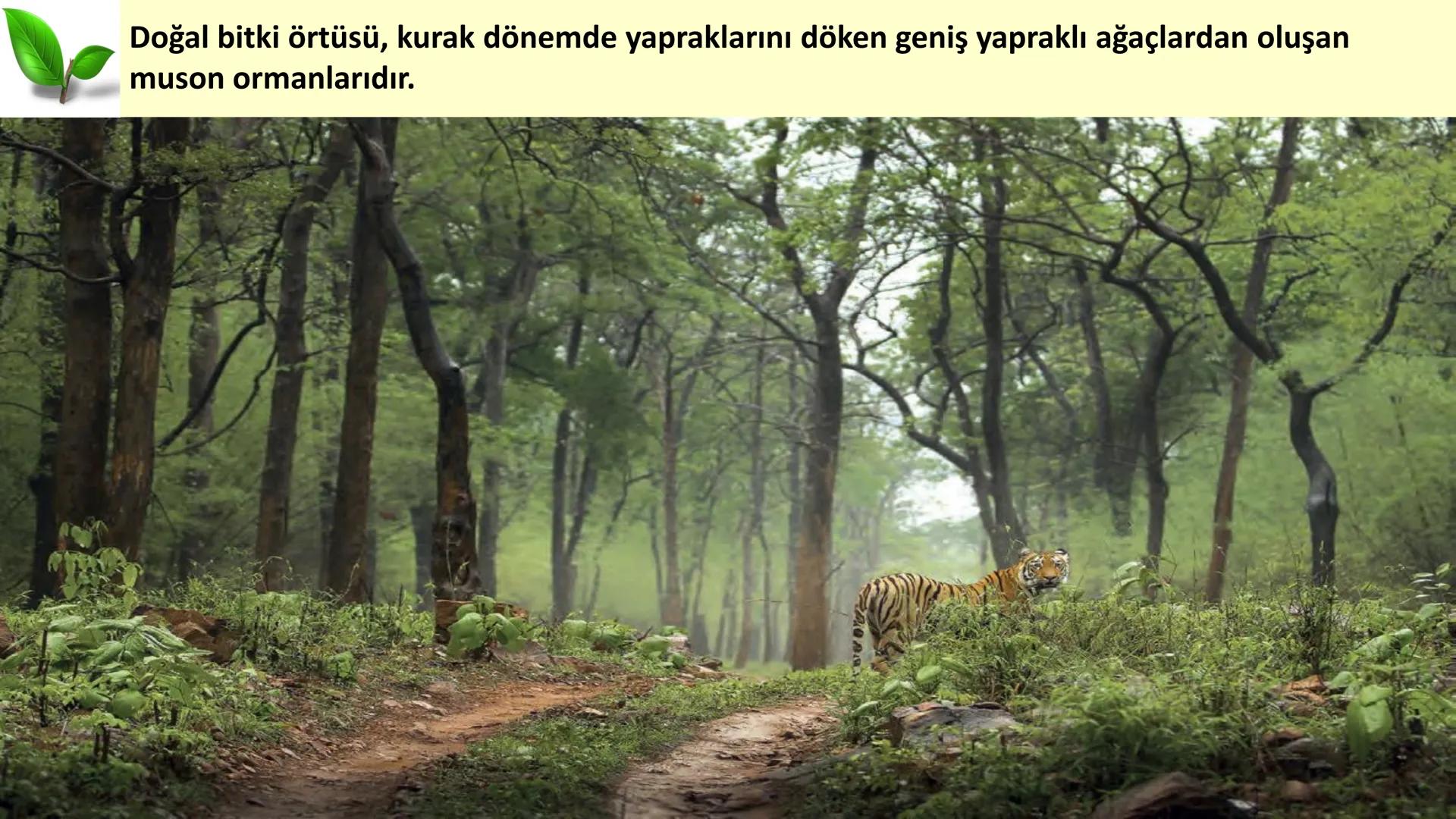 # DÜNYA'DAKI İKLIM TİPLERİ Geniş bir alanda uzun yıllar boyunca görülen atmosfer olaylarının ortalama durumuna
iklim denir.
Dünya'nın hemen