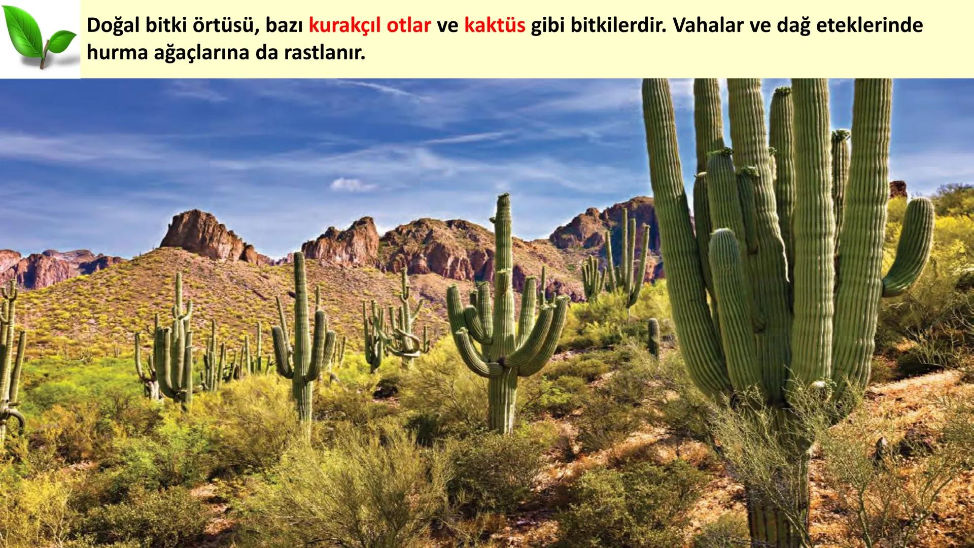 # DÜNYA'DAKI İKLIM TİPLERİ Geniş bir alanda uzun yıllar boyunca görülen atmosfer olaylarının ortalama durumuna
iklim denir.
Dünya'nın hemen