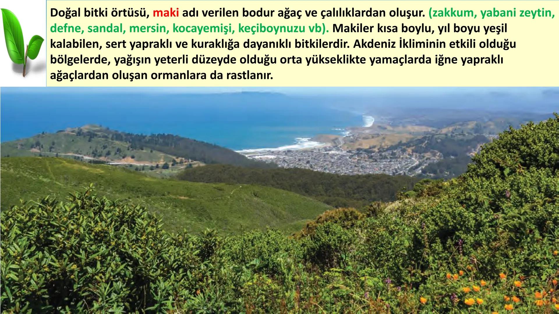 # DÜNYA'DAKI İKLIM TİPLERİ Geniş bir alanda uzun yıllar boyunca görülen atmosfer olaylarının ortalama durumuna
iklim denir.
Dünya'nın hemen