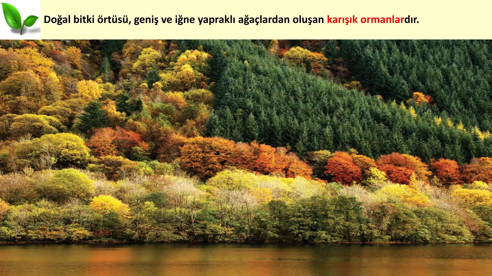 # DÜNYA'DAKI İKLIM TİPLERİ Geniş bir alanda uzun yıllar boyunca görülen atmosfer olaylarının ortalama durumuna
iklim denir.
Dünya'nın hemen