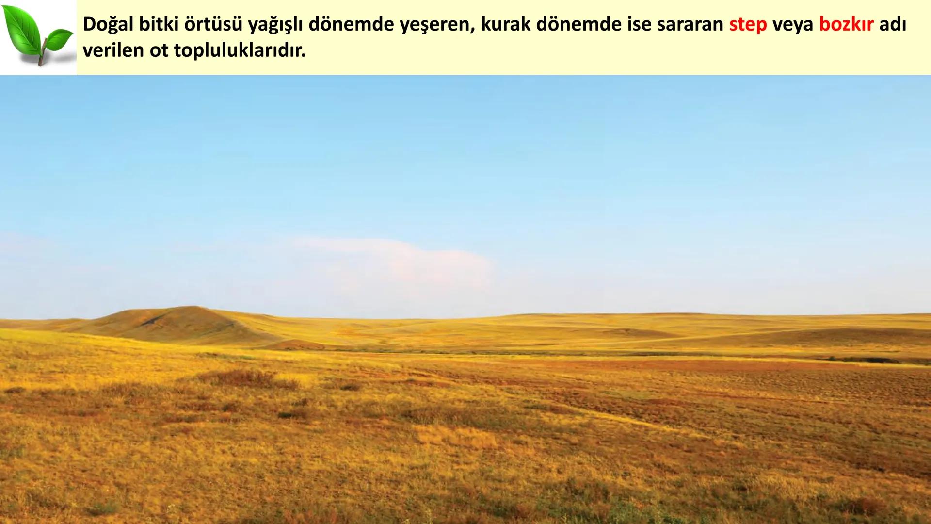 # DÜNYA'DAKI İKLIM TİPLERİ Geniş bir alanda uzun yıllar boyunca görülen atmosfer olaylarının ortalama durumuna
iklim denir.
Dünya'nın hemen