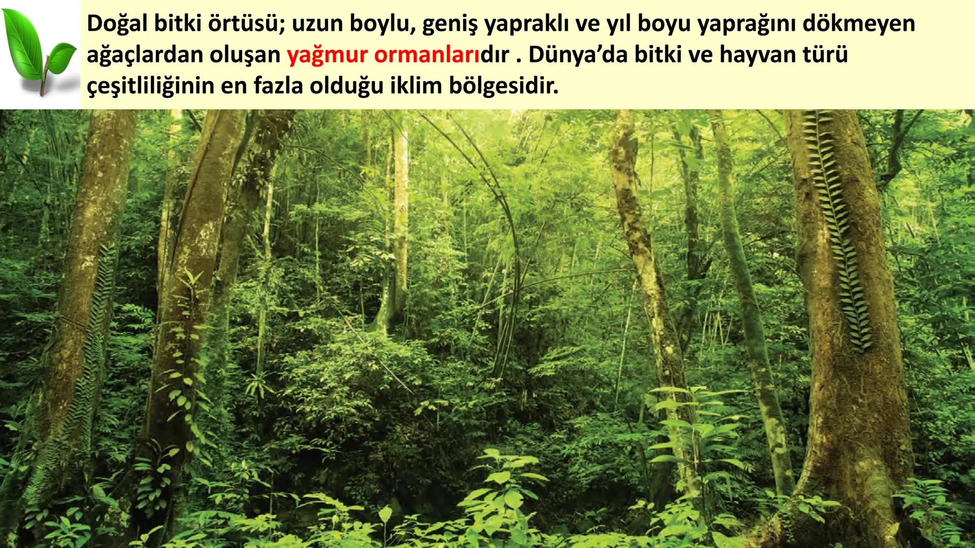 # DÜNYA'DAKI İKLIM TİPLERİ Geniş bir alanda uzun yıllar boyunca görülen atmosfer olaylarının ortalama durumuna
iklim denir.
Dünya'nın hemen