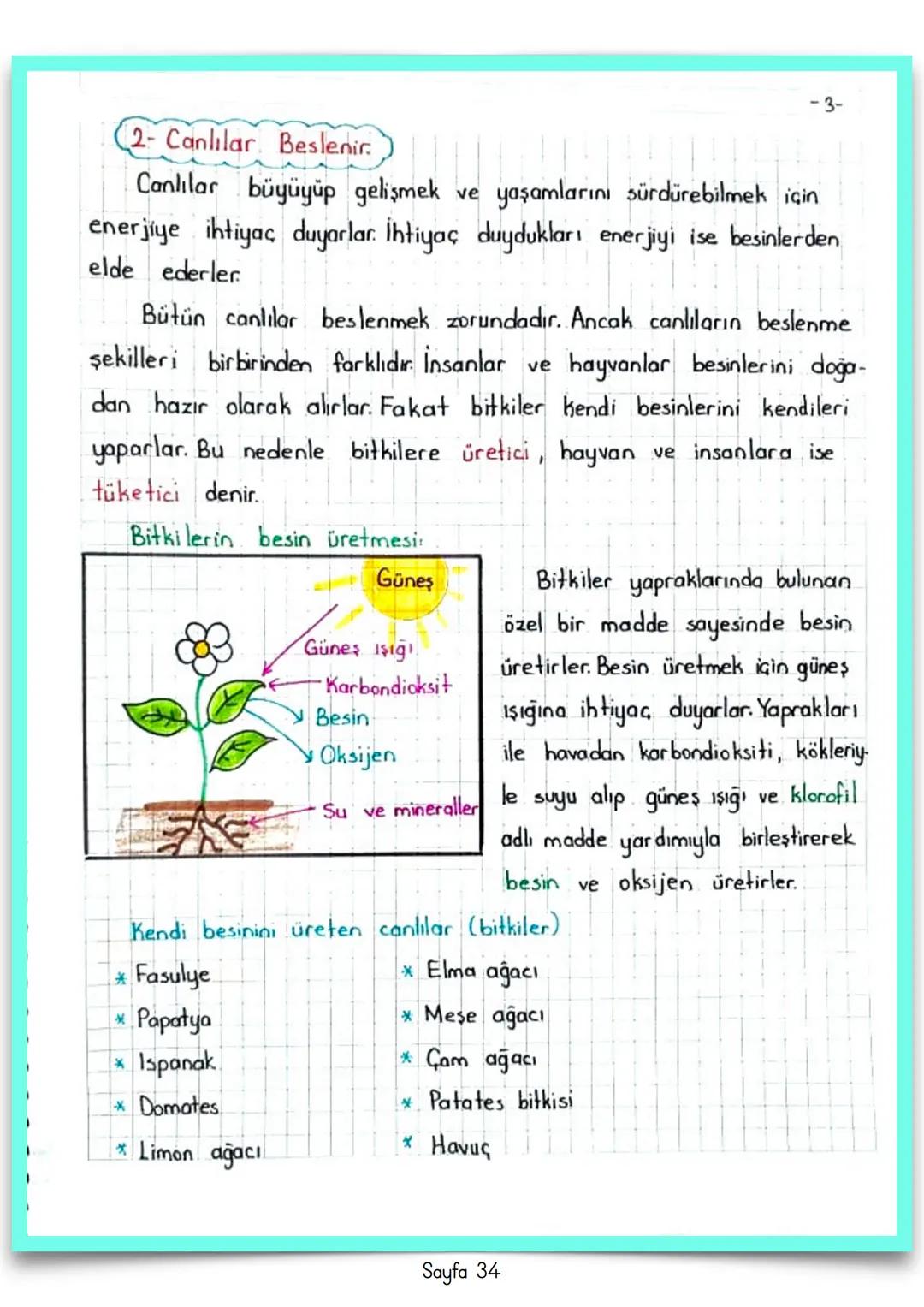 # FEN BİLİMLERİ
# 3
# Özet Defteri # 1. ÜNİTE: GEZE GENİMİZİ TANIYALIM
DÜNYA'NIN ŞEKLİ
Dünya, güneş sistemimizdeki gezegenlerden biridir