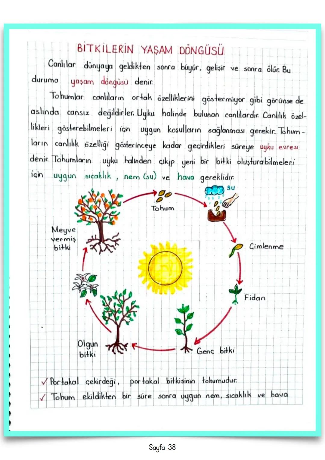 # FEN BİLİMLERİ
# 3
# Özet Defteri # 1. ÜNİTE: GEZE GENİMİZİ TANIYALIM
DÜNYA'NIN ŞEKLİ
Dünya, güneş sistemimizdeki gezegenlerden biridir