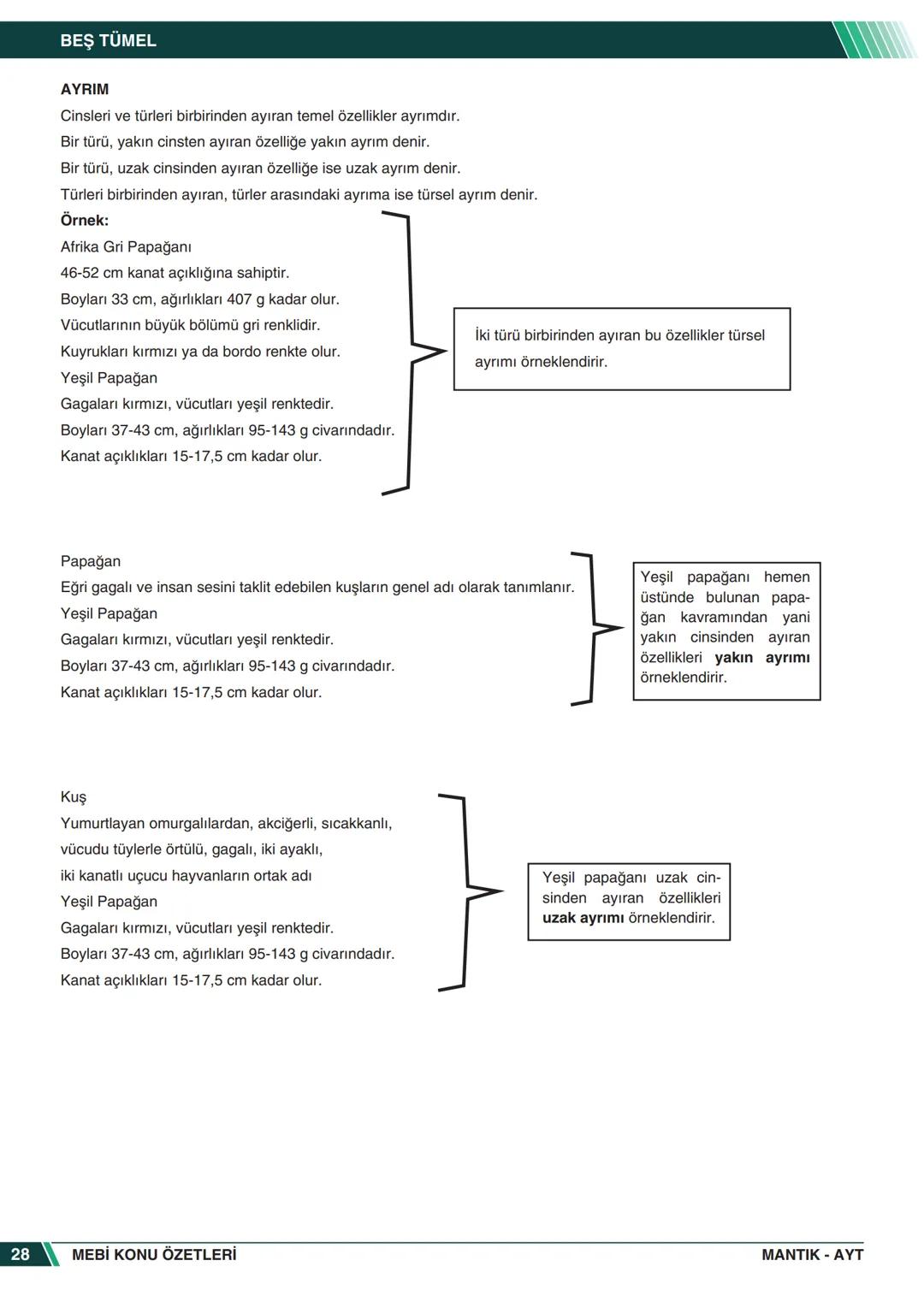***
*****
UMHURİYETI MILLI EG
*
*
ORTAÖĞRETİм
GENEL MÜDÜRLÜĞÜ
Aa
B
MEBİ
KONU ÖZETLERİ
MANTIK
ABC
JT 202
AYT
Zengin ve Anlaşılır İçeri