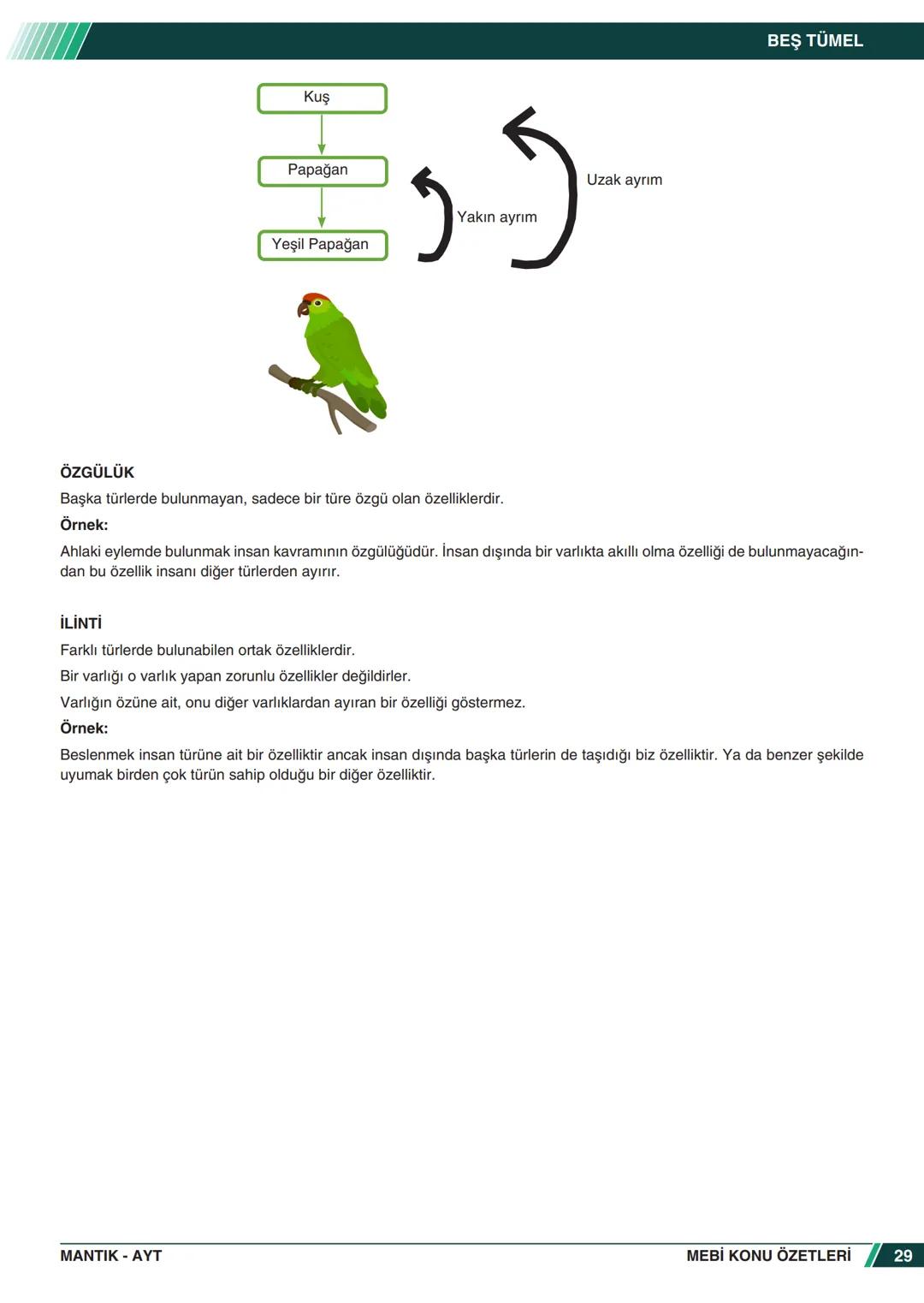 ***
*****
UMHURİYETI MILLI EG
*
*
ORTAÖĞRETİм
GENEL MÜDÜRLÜĞÜ
Aa
B
MEBİ
KONU ÖZETLERİ
MANTIK
ABC
JT 202
AYT
Zengin ve Anlaşılır İçeri