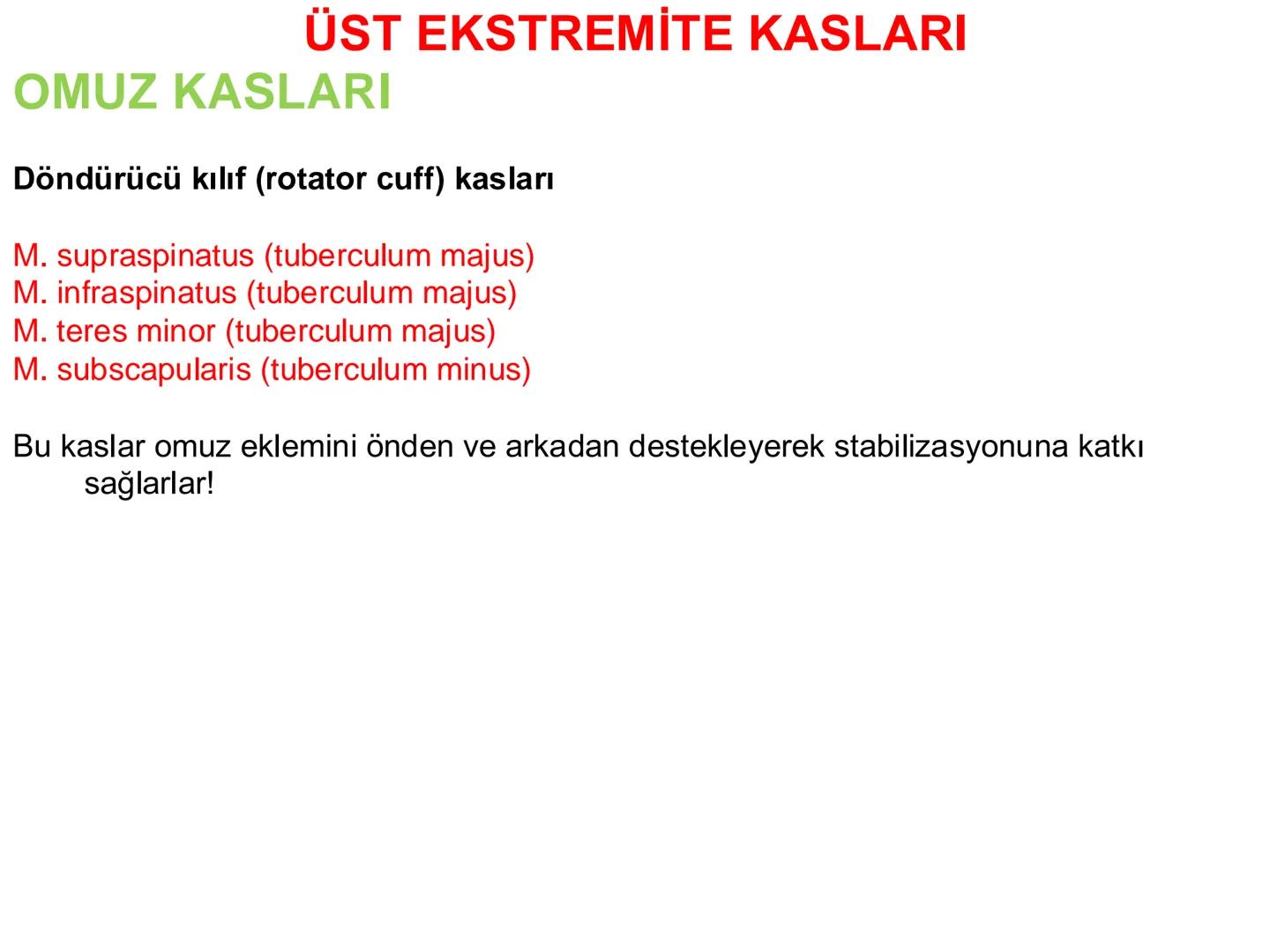# Kas Sistemi
# Üst Ekstremite Kasları
# Öğr. Gör. Ayşegül Ayran --- OCR Start ---
İÇERİK
☐
Üst ekstremite kaslarının:
İsimleri
Konumları
K