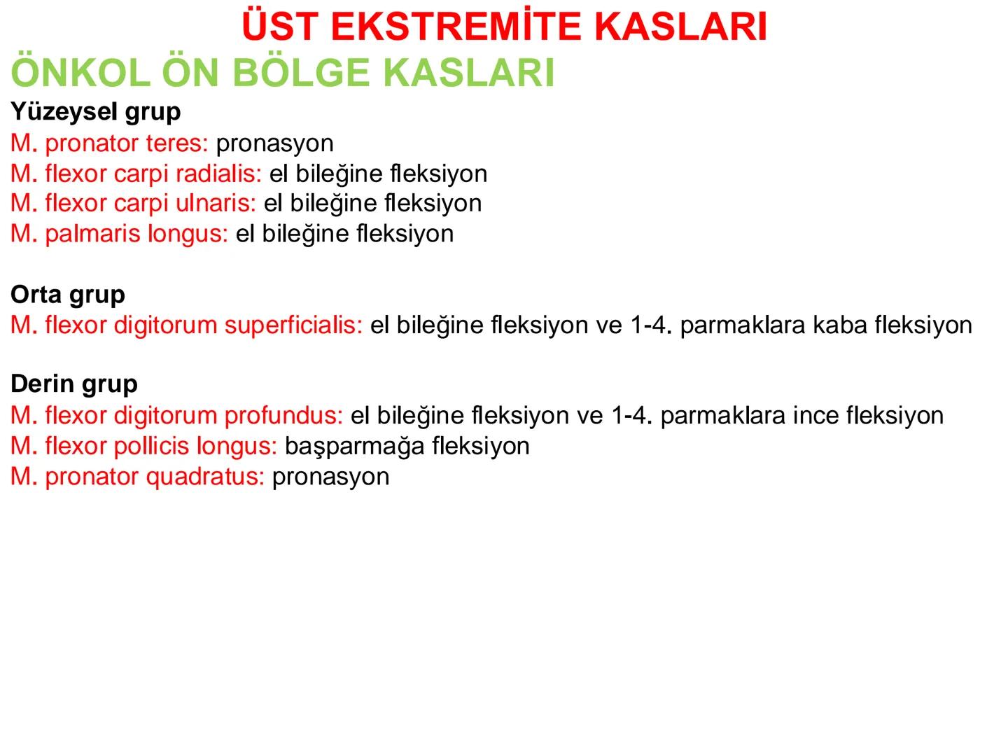 # Kas Sistemi
# Üst Ekstremite Kasları
# Öğr. Gör. Ayşegül Ayran --- OCR Start ---
İÇERİK
☐
Üst ekstremite kaslarının:
İsimleri
Konumları
K
