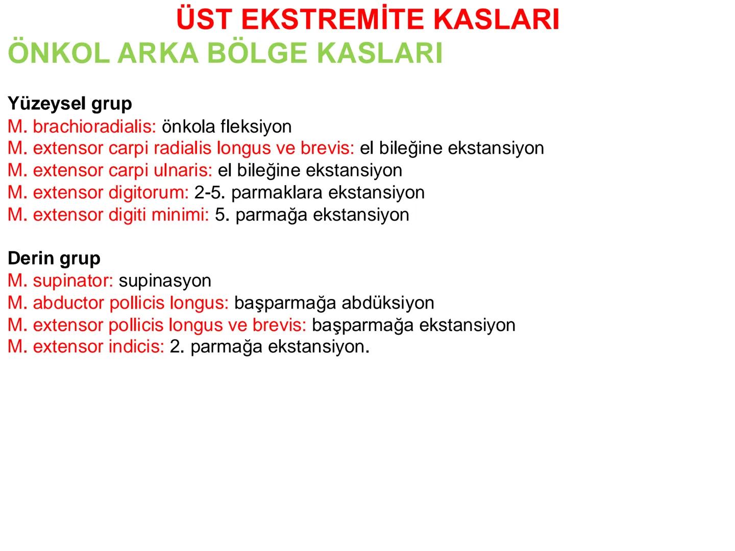 # Kas Sistemi
# Üst Ekstremite Kasları
# Öğr. Gör. Ayşegül Ayran --- OCR Start ---
İÇERİK
☐
Üst ekstremite kaslarının:
İsimleri
Konumları
K