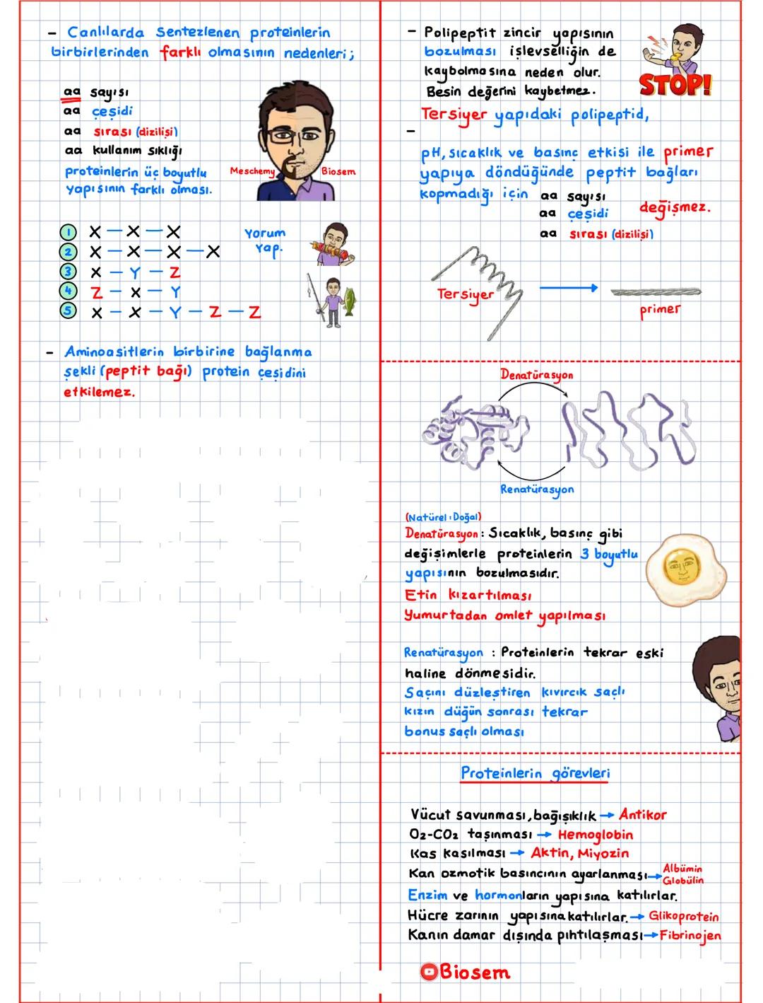 --- OCR Start ---
Canlıların Temel Bilesenleri (CTB)
inorganik + organik
inorganik
Su (H20)
Asit-Baz-Tuz
Mineraller
CTB
canlı
organik 2
Karb