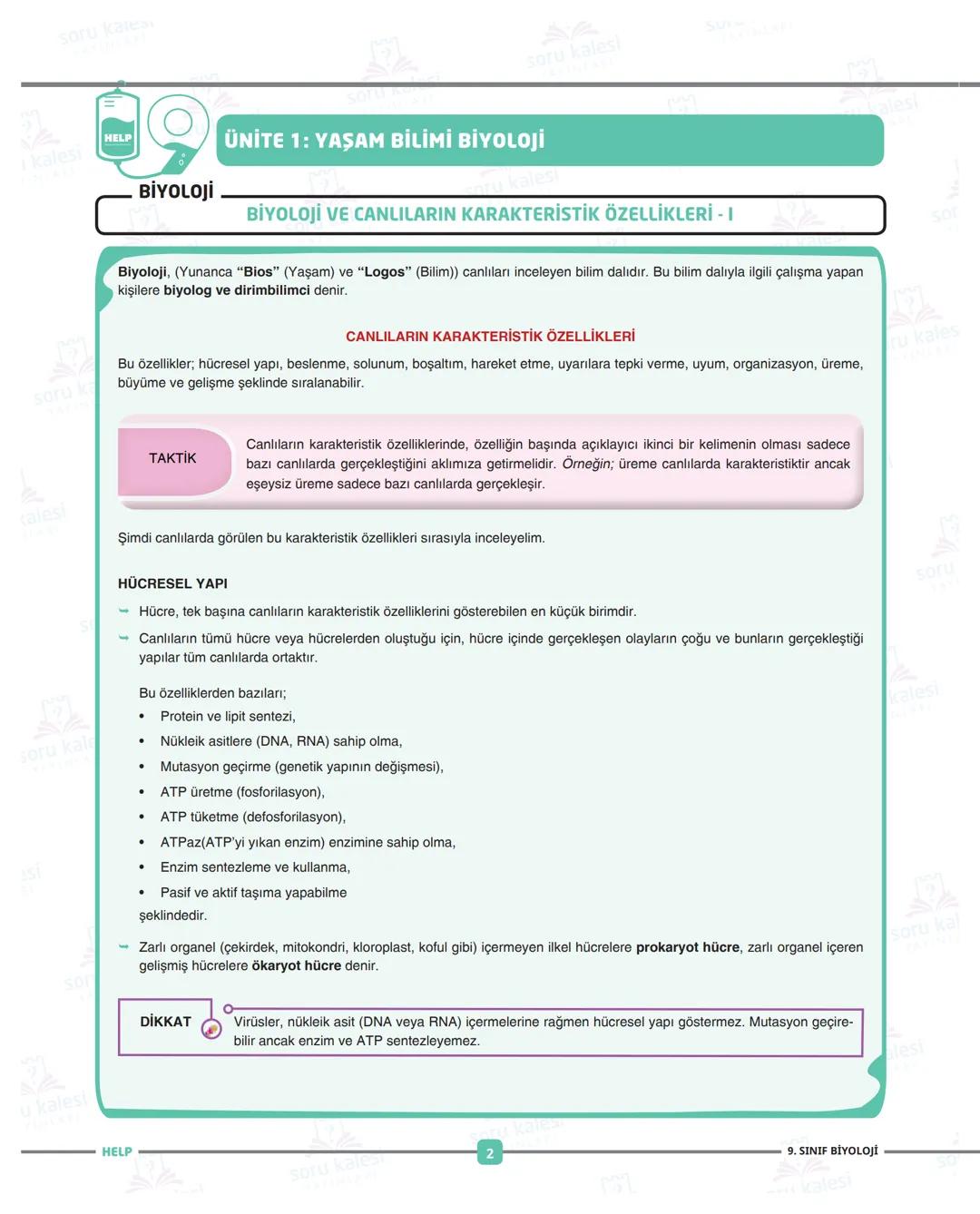 ADIM ADIM
FASİKÜL: İKÜL: 1
Ünite 1: YAŞAM BİLİMİ BİYOLOJİ
HEPSİNDEN
EĞİTİCİ
LISE
PAKETI
1 soru Kanes
=
1 kalesi
HELP
soru
SU
soru kalesi
ÜN