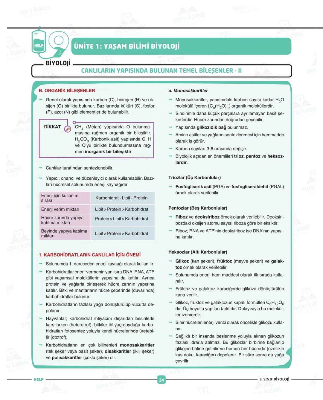 ADIM ADIM
FASİKÜL: İKÜL: 1
Ünite 1: YAŞAM BİLİMİ BİYOLOJİ
HEPSİNDEN
EĞİTİCİ
LISE
PAKETI
1 soru Kanes
=
1 kalesi
HELP
soru
SU
soru kalesi
ÜN