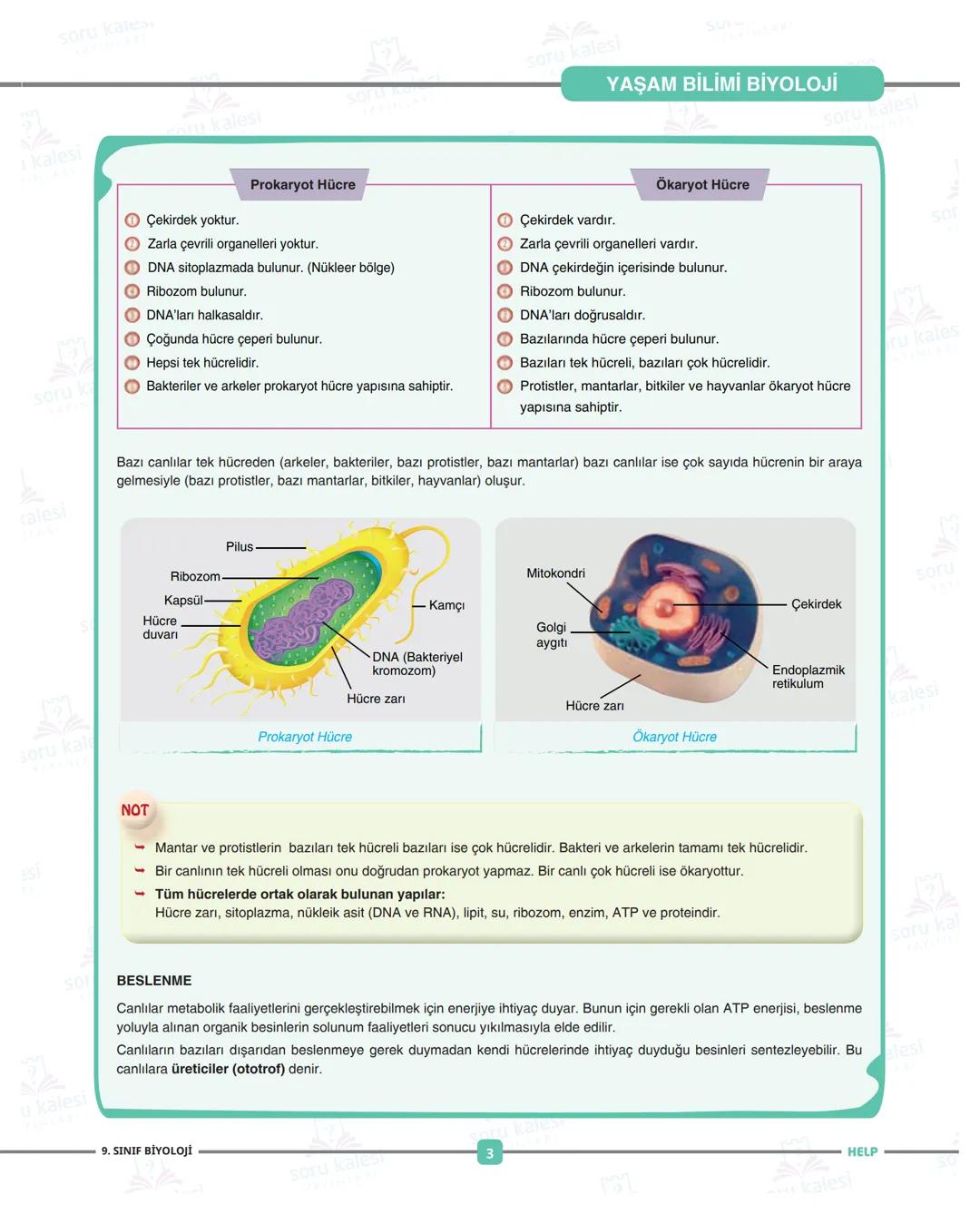 ADIM ADIM
FASİKÜL: İKÜL: 1
Ünite 1: YAŞAM BİLİMİ BİYOLOJİ
HEPSİNDEN
EĞİTİCİ
LISE
PAKETI
1 soru Kanes
=
1 kalesi
HELP
soru
SU
soru kalesi
ÜN
