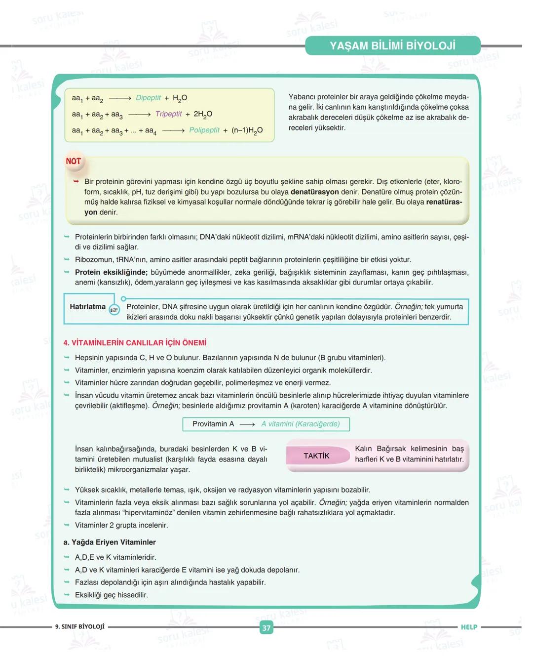 ADIM ADIM
FASİKÜL: İKÜL: 1
Ünite 1: YAŞAM BİLİMİ BİYOLOJİ
HEPSİNDEN
EĞİTİCİ
LISE
PAKETI
1 soru Kanes
=
1 kalesi
HELP
soru
SU
soru kalesi
ÜN