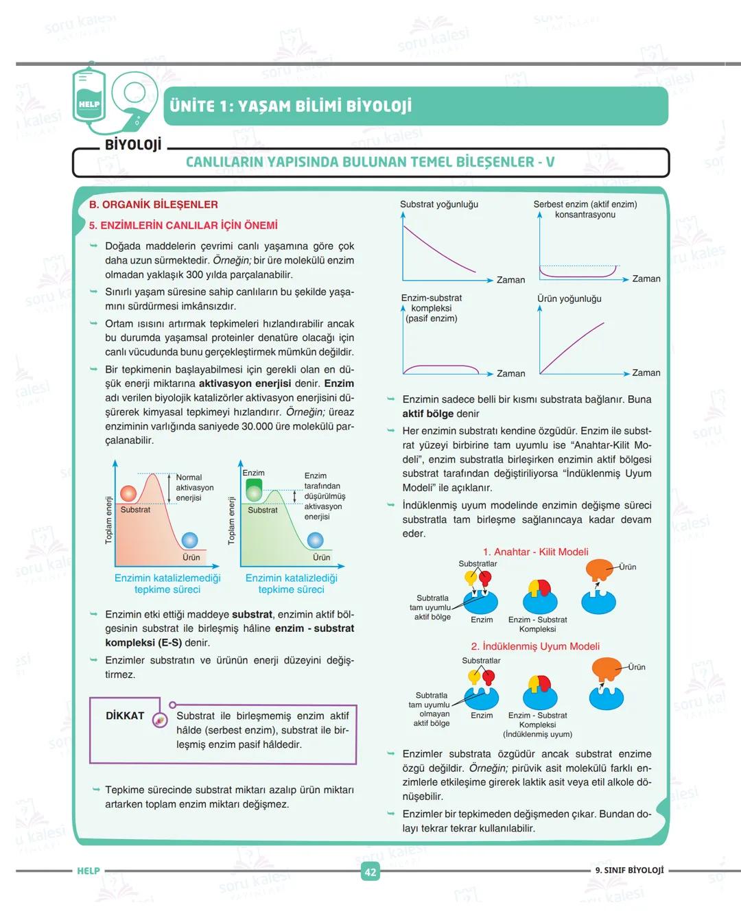 ADIM ADIM
FASİKÜL: İKÜL: 1
Ünite 1: YAŞAM BİLİMİ BİYOLOJİ
HEPSİNDEN
EĞİTİCİ
LISE
PAKETI
1 soru Kanes
=
1 kalesi
HELP
soru
SU
soru kalesi
ÜN