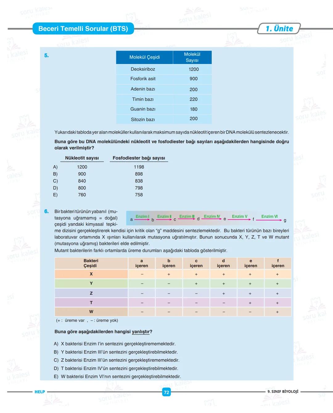 ADIM ADIM
FASİKÜL: İKÜL: 1
Ünite 1: YAŞAM BİLİMİ BİYOLOJİ
HEPSİNDEN
EĞİTİCİ
LISE
PAKETI
1 soru Kanes
=
1 kalesi
HELP
soru
SU
soru kalesi
ÜN