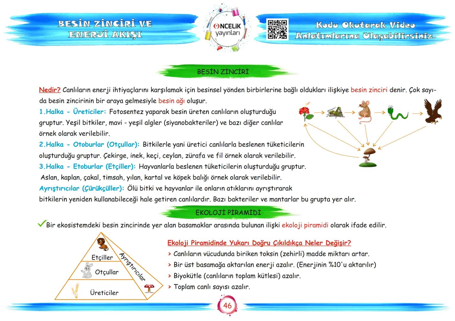 # 8. Sınıf
# Konu Anlatımları
6. Ünite
Enerji Dönüşümleri ve
Çevre Bilimi
ŞİRİN ALTINTAŞ
SÜLEYMAN ALTINTAŞ # BESİN ZİNCİRİ VE
ENERJİ AKIŞ