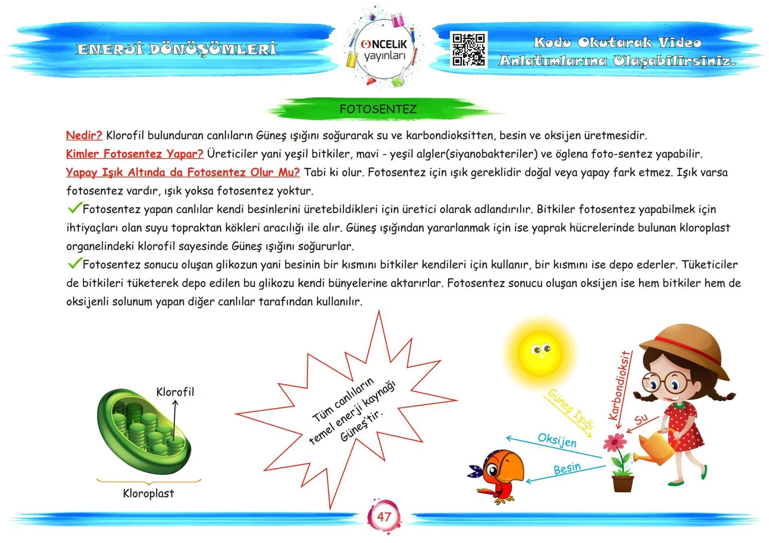 # 8. Sınıf
# Konu Anlatımları
6. Ünite
Enerji Dönüşümleri ve
Çevre Bilimi
ŞİRİN ALTINTAŞ
SÜLEYMAN ALTINTAŞ # BESİN ZİNCİRİ VE
ENERJİ AKIŞ