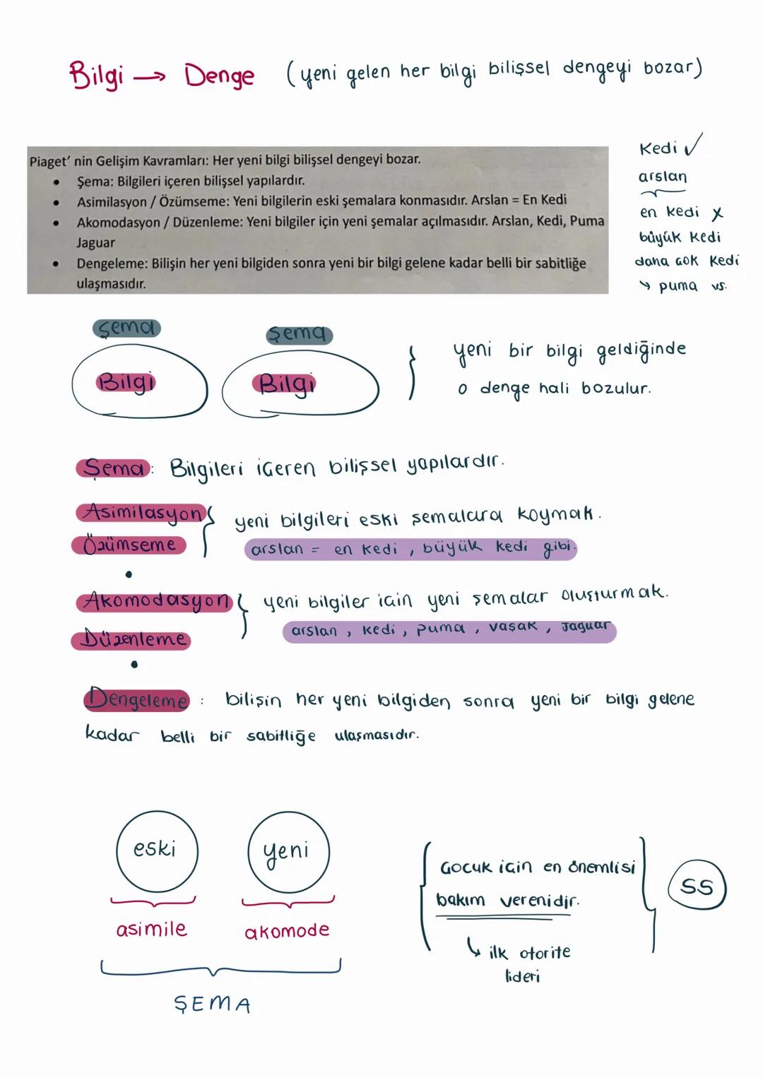 - GELİŞİM PSİKOLOJİSİ -
9-10-11. haftalar
12/11/24
Gelişim: Kayıp ve kazancı içerir. Yaşlılar da gelişir hayattan alıkları azalır verdikl