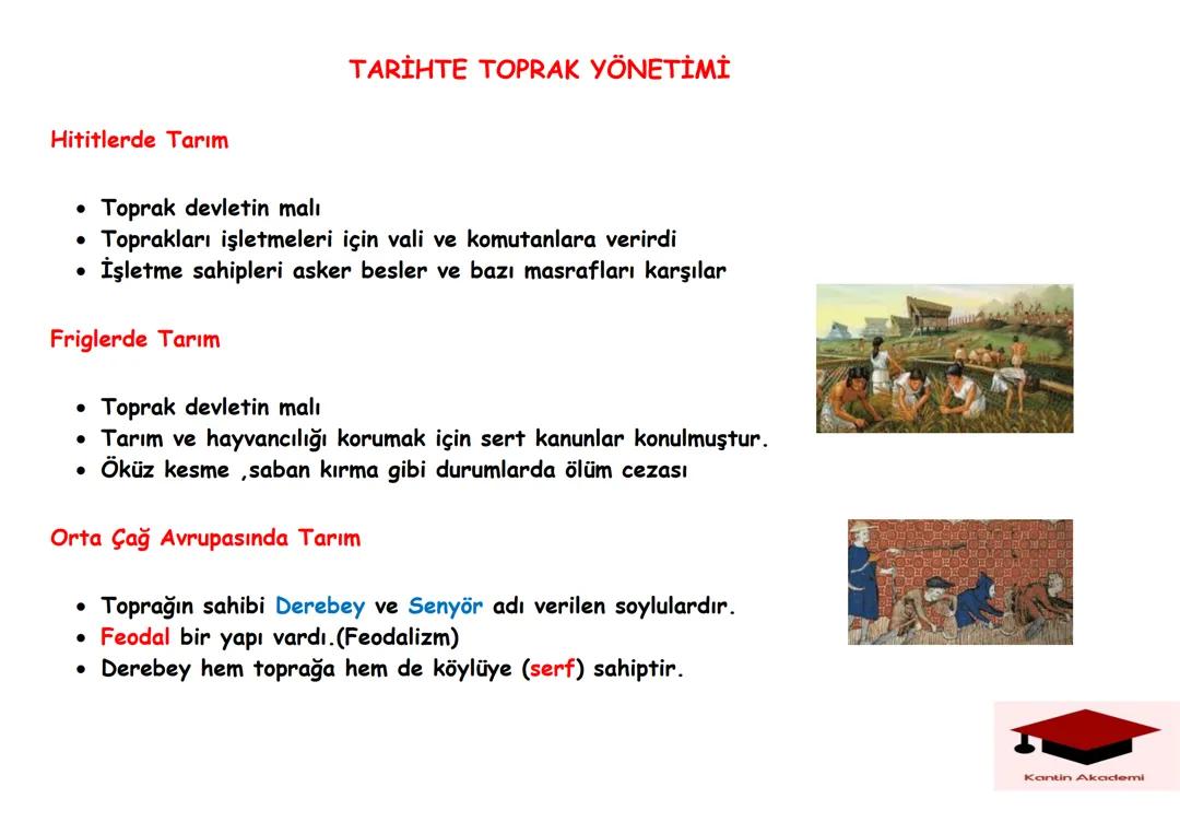 Sosyal bilgiler 7.sınıf 5. Ünite notları