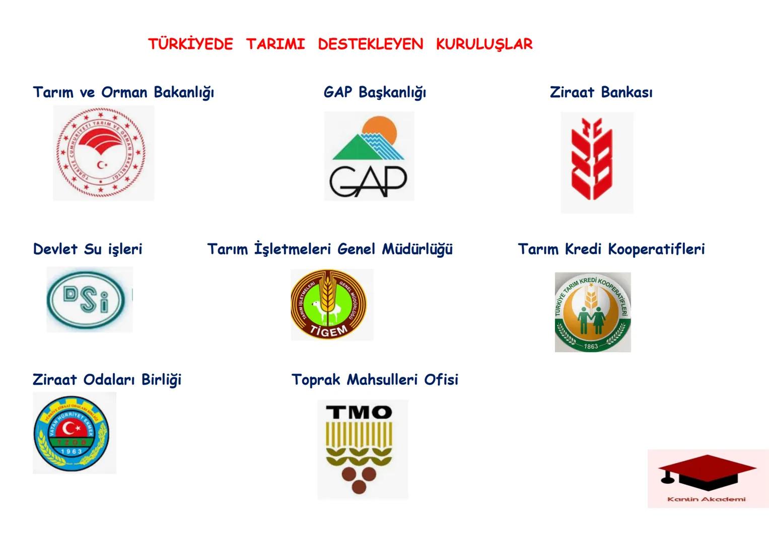 --- OCR Start ---
TARİHTE TOPRAK YÖNETİMİ
Hititlerde Tarım
• Toprak devletin malı
• Toprakları işletmeleri için vali ve komutanlara verirdi