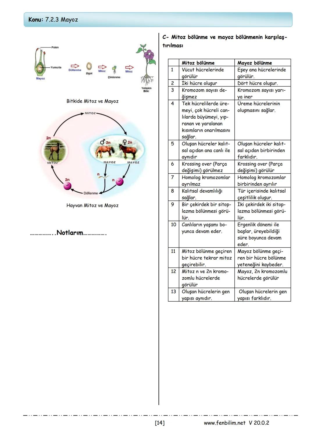 # 7.Sınıf Fen Bilimleri
# Ders Notları
Barış ZEREN
Fen Bilimleri Öğretmeni
www.fenbilim.net V 20.0.2 # 1.Ünite: Güneş Sistemi ve Ötesi