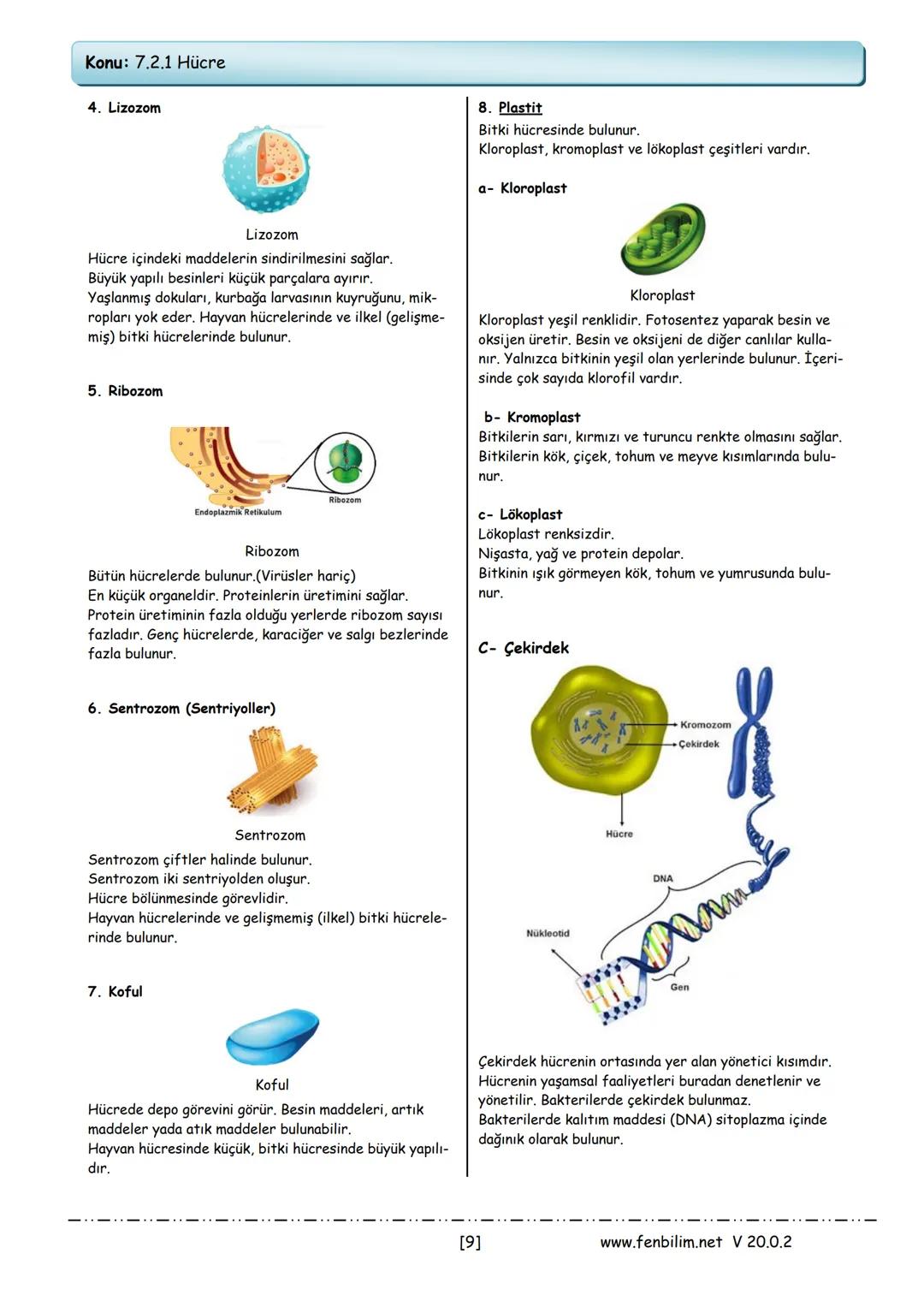 # 7.Sınıf Fen Bilimleri
# Ders Notları
Barış ZEREN
Fen Bilimleri Öğretmeni
www.fenbilim.net V 20.0.2 # 1.Ünite: Güneş Sistemi ve Ötesi