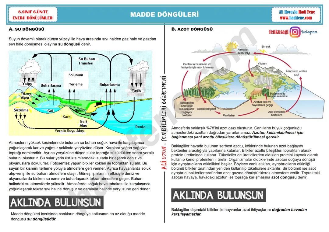 8. sınıf madde döngüleri