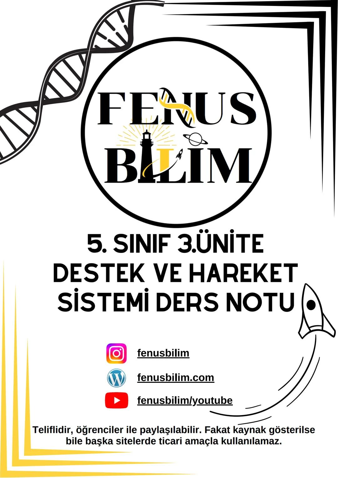 5.sınıf fen bilimleri destek ve hareket sistemi