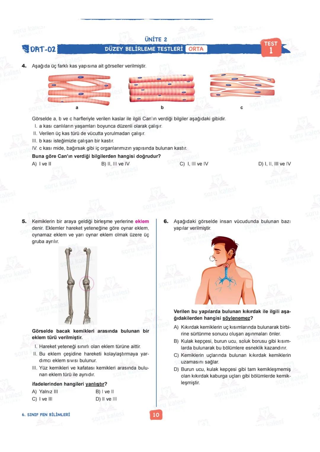 # 6
SINIF
FEN BİLİMLERİ
## ÜNİTE 2: VÜCUDUMUZDAKİ SİSTEMLER
### KAZANIMLAR:
- F.6.2.1.1. Destek ve hareket sistemine ait yapıları örnekle