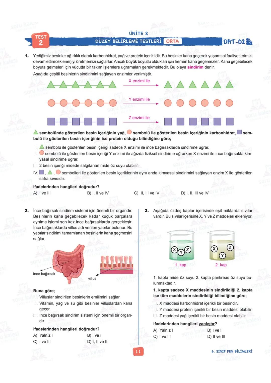 # 6
SINIF
FEN BİLİMLERİ
## ÜNİTE 2: VÜCUDUMUZDAKİ SİSTEMLER
### KAZANIMLAR:
- F.6.2.1.1. Destek ve hareket sistemine ait yapıları örnekle