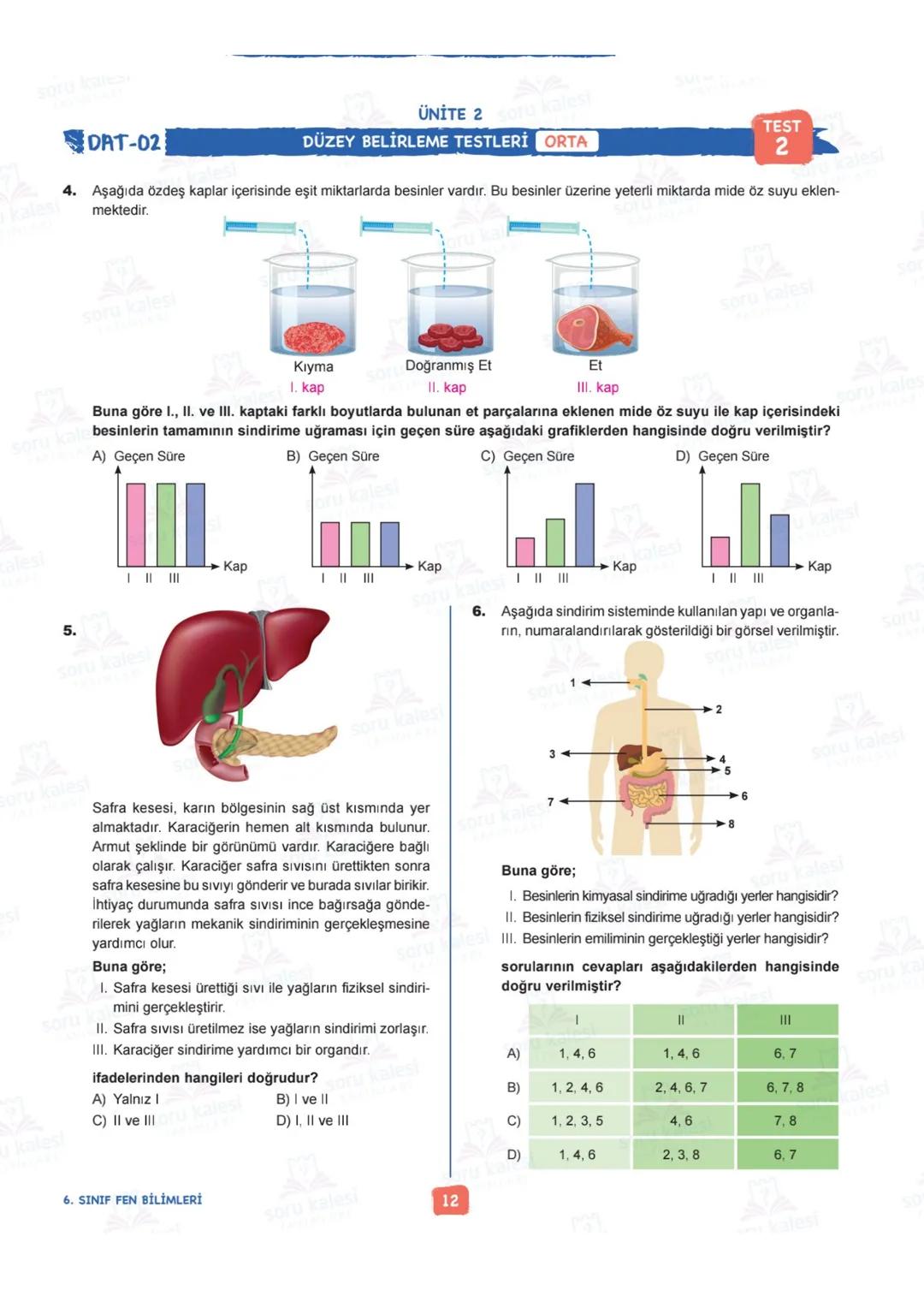 # 6
SINIF
FEN BİLİMLERİ
## ÜNİTE 2: VÜCUDUMUZDAKİ SİSTEMLER
### KAZANIMLAR:
- F.6.2.1.1. Destek ve hareket sistemine ait yapıları örnekle