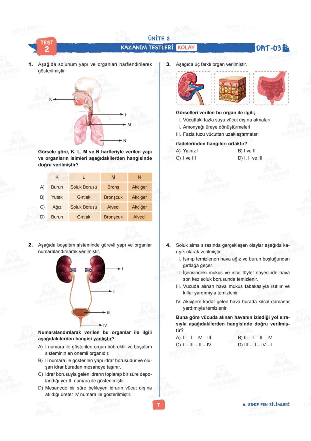 # 6
SINIF
FEN BİLİMLERİ
## ÜNİTE 2: VÜCUDUMUZDAKİ SİSTEMLER
### KAZANIMLAR:
- F.6.2.1.1. Destek ve hareket sistemine ait yapıları örnekle